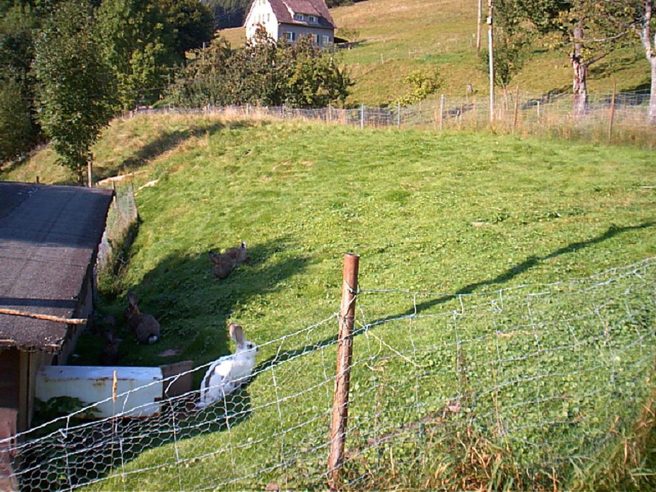 Gasthof Erlenhof Alpirsbach Exterior foto